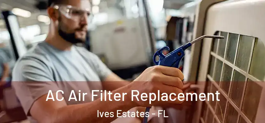 AC Air Filter Replacement Ives Estates - FL