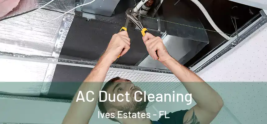 AC Duct Cleaning Ives Estates - FL