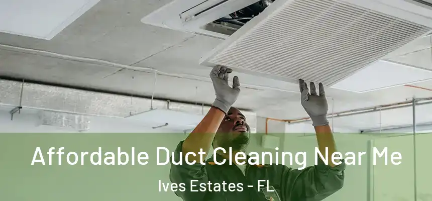 Affordable Duct Cleaning Near Me Ives Estates - FL