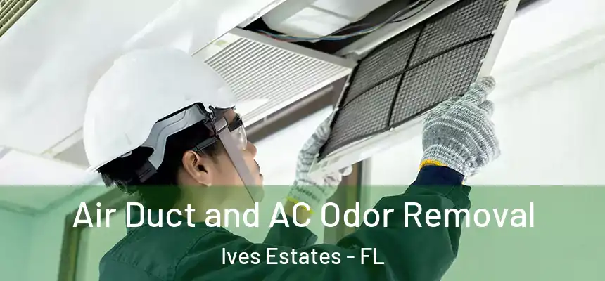 Air Duct and AC Odor Removal Ives Estates - FL