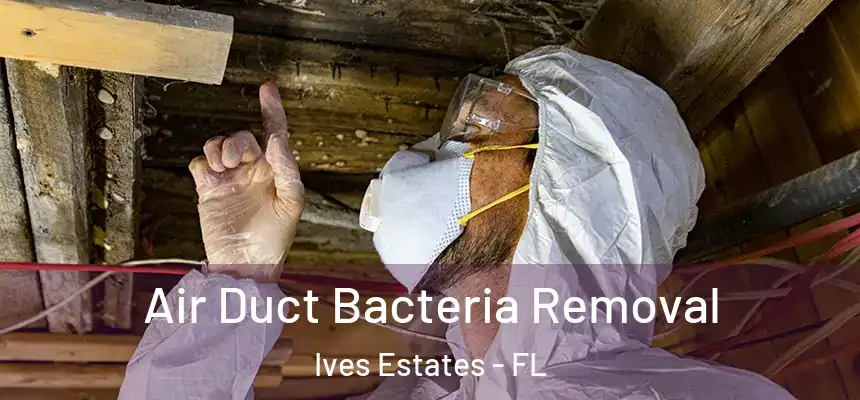 Air Duct Bacteria Removal Ives Estates - FL