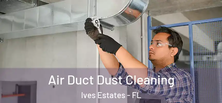 Air Duct Dust Cleaning Ives Estates - FL