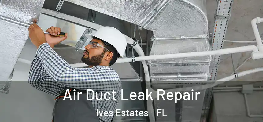 Air Duct Leak Repair Ives Estates - FL