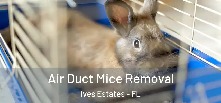 Air Duct Mice Removal Ives Estates - FL