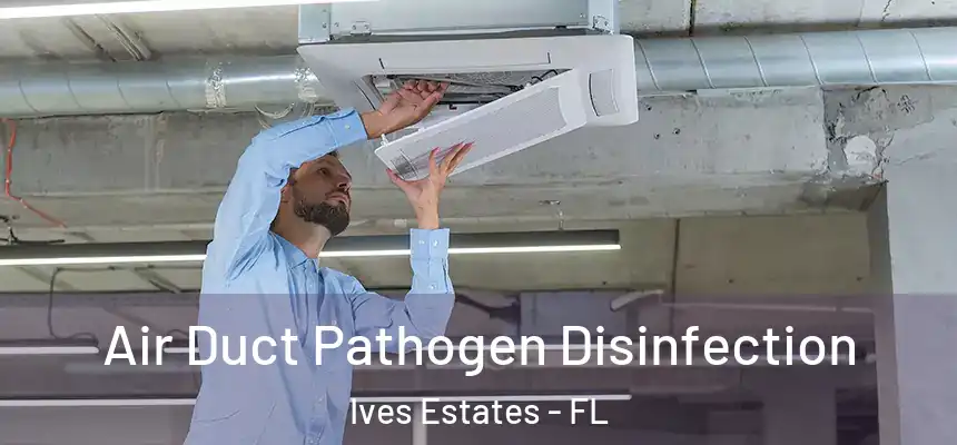 Air Duct Pathogen Disinfection Ives Estates - FL