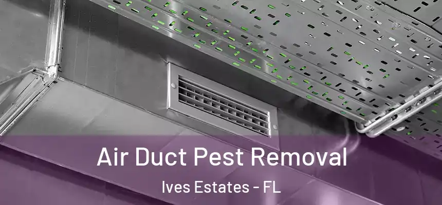 Air Duct Pest Removal Ives Estates - FL
