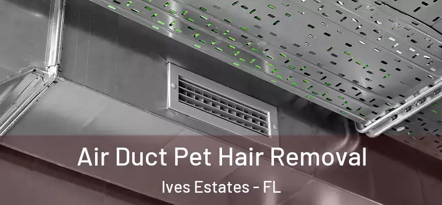 Air Duct Pet Hair Removal Ives Estates - FL