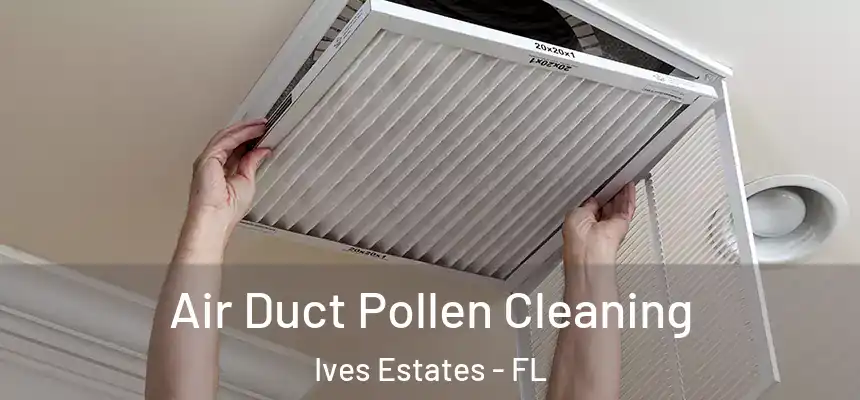 Air Duct Pollen Cleaning Ives Estates - FL