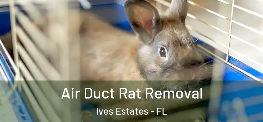 Air Duct Rat Removal Ives Estates - FL