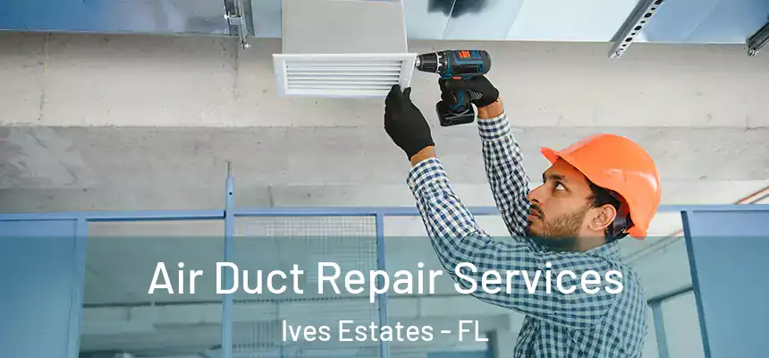 Air Duct Repair Services Ives Estates - FL