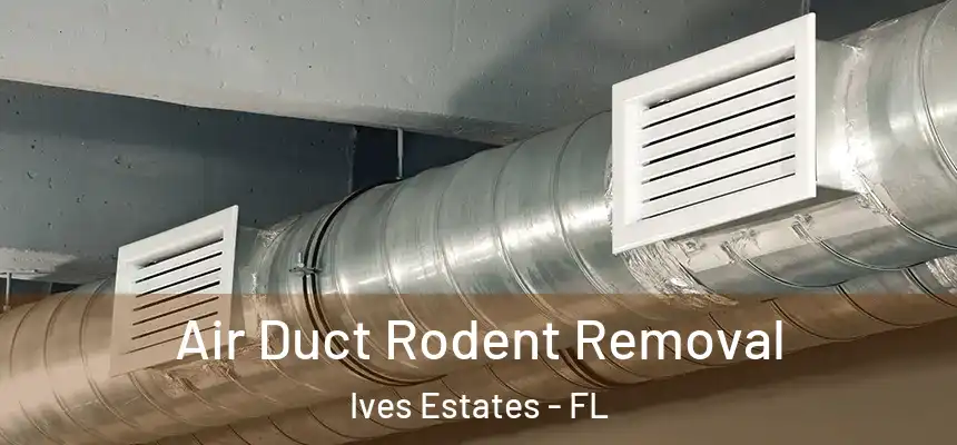 Air Duct Rodent Removal Ives Estates - FL