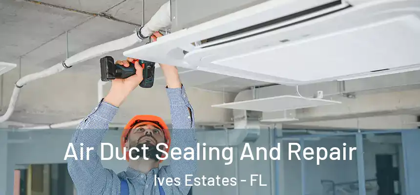 Air Duct Sealing And Repair Ives Estates - FL