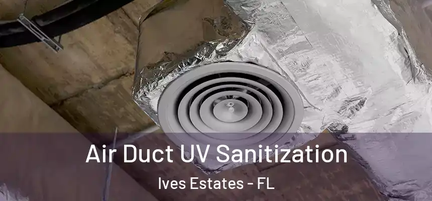 Air Duct UV Sanitization Ives Estates - FL