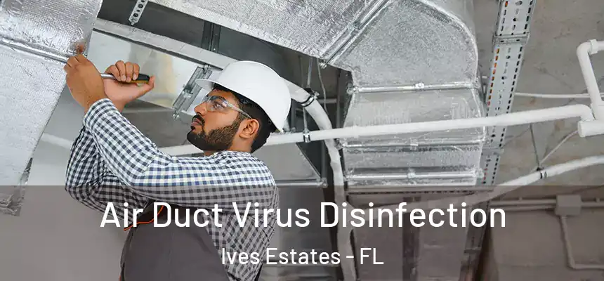 Air Duct Virus Disinfection Ives Estates - FL