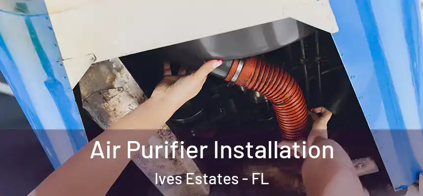 Air Purifier Installation Ives Estates - FL
