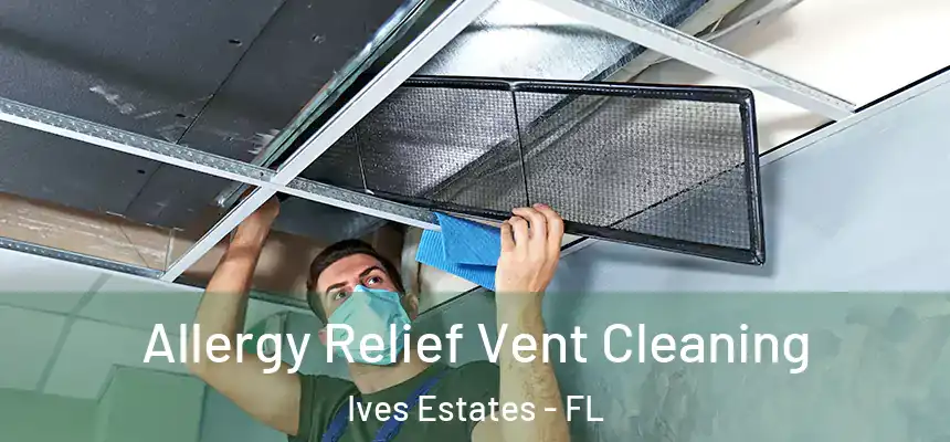 Allergy Relief Vent Cleaning Ives Estates - FL