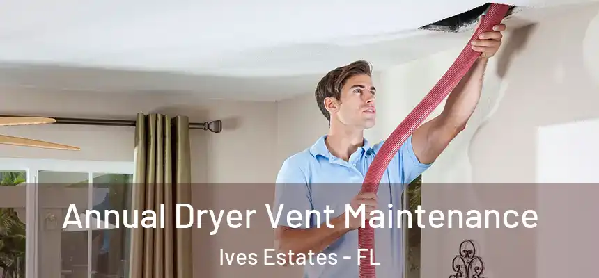 Annual Dryer Vent Maintenance Ives Estates - FL