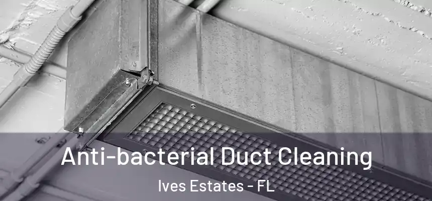 Anti-bacterial Duct Cleaning Ives Estates - FL