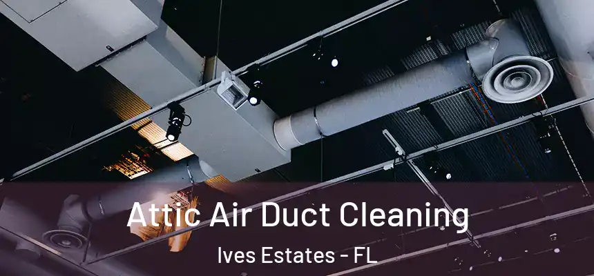 Attic Air Duct Cleaning Ives Estates - FL