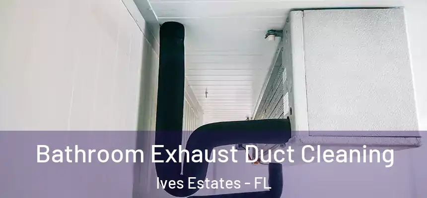 Bathroom Exhaust Duct Cleaning Ives Estates - FL