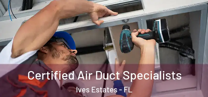 Certified Air Duct Specialists Ives Estates - FL