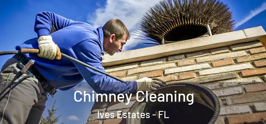 Chimney Cleaning Ives Estates - FL