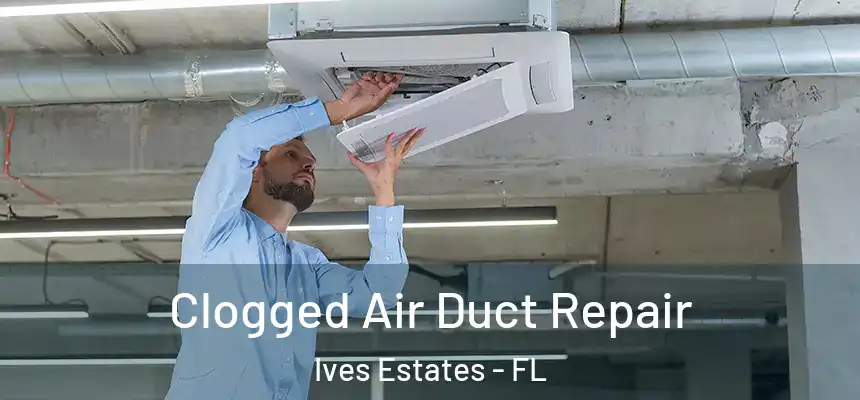 Clogged Air Duct Repair Ives Estates - FL