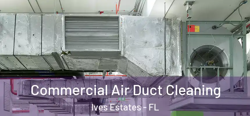 Commercial Air Duct Cleaning Ives Estates - FL