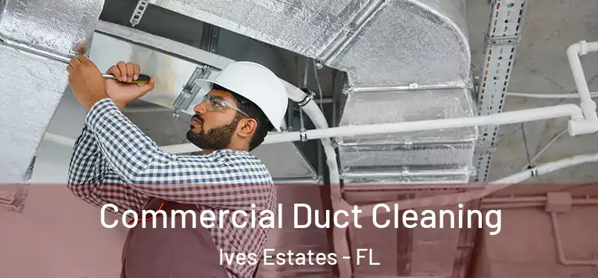 Commercial Duct Cleaning Ives Estates - FL