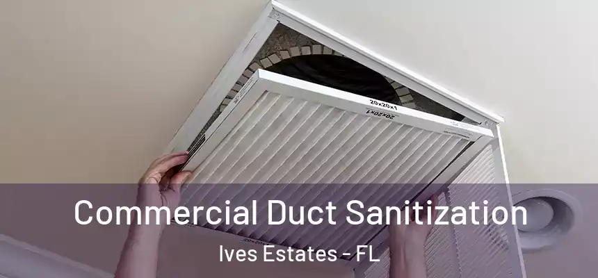 Commercial Duct Sanitization Ives Estates - FL