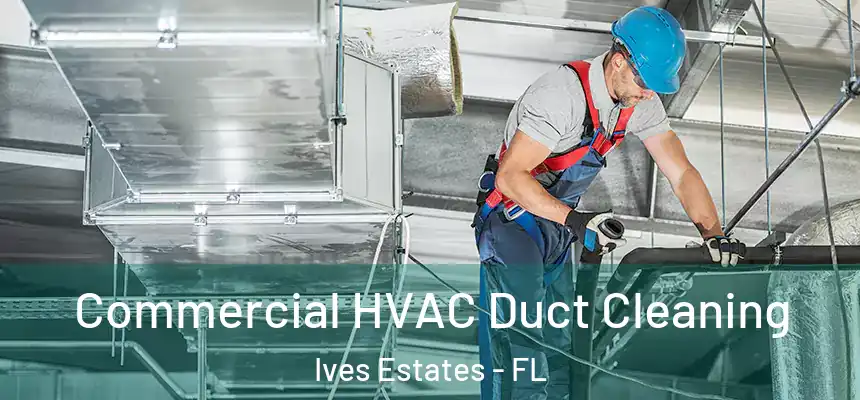 Commercial HVAC Duct Cleaning Ives Estates - FL