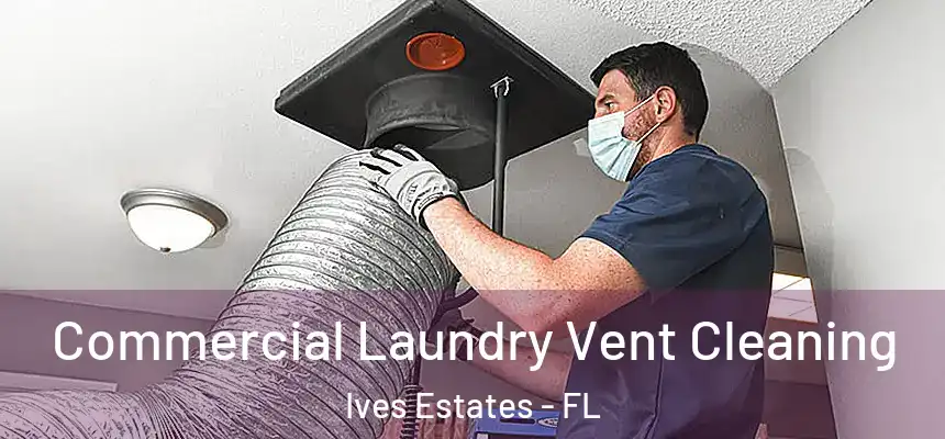Commercial Laundry Vent Cleaning Ives Estates - FL