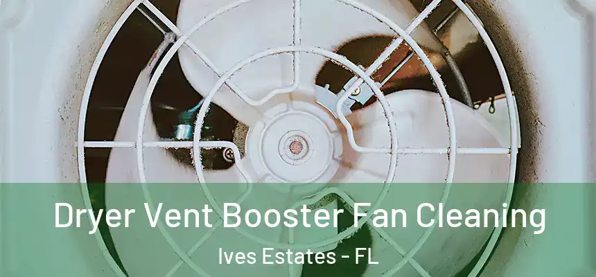 Dryer Vent Booster Fan Cleaning Ives Estates - FL