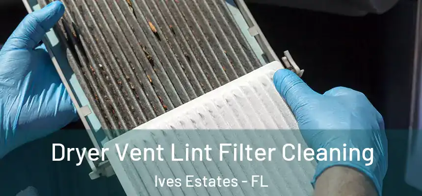 Dryer Vent Lint Filter Cleaning Ives Estates - FL