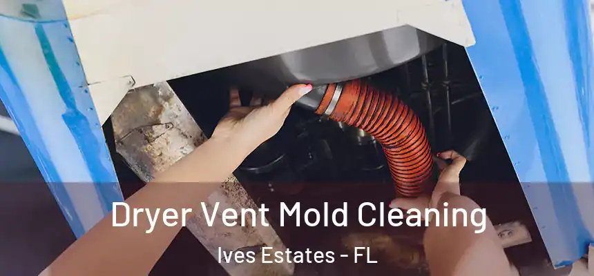 Dryer Vent Mold Cleaning Ives Estates - FL
