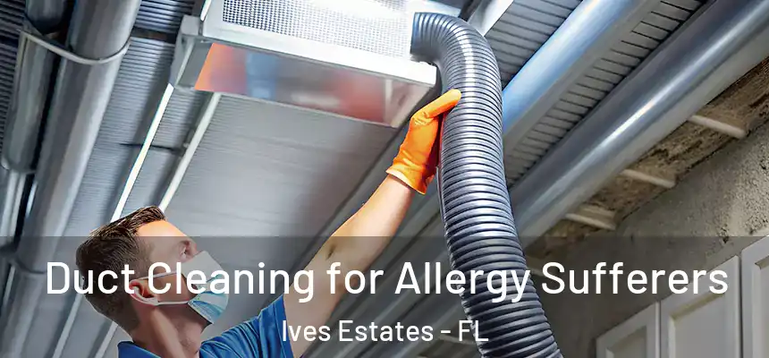 Duct Cleaning for Allergy Sufferers Ives Estates - FL