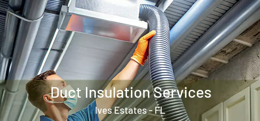 Duct Insulation Services Ives Estates - FL