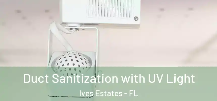 Duct Sanitization with UV Light Ives Estates - FL