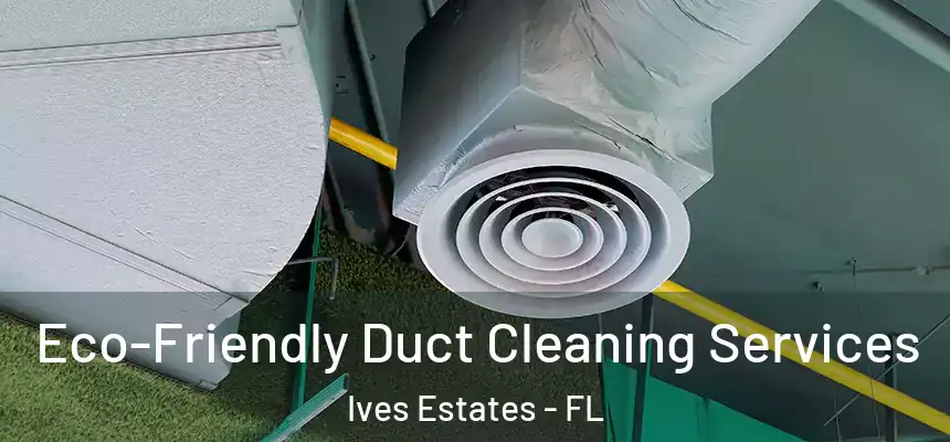 Eco-Friendly Duct Cleaning Services Ives Estates - FL