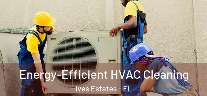 Energy-Efficient HVAC Cleaning Ives Estates - FL