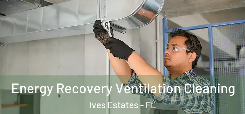 Energy Recovery Ventilation Cleaning Ives Estates - FL