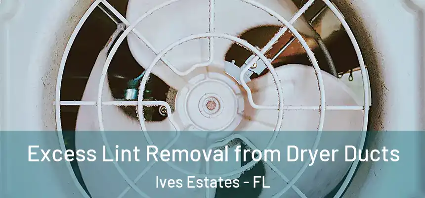 Excess Lint Removal from Dryer Ducts Ives Estates - FL