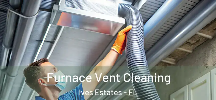 Furnace Vent Cleaning Ives Estates - FL