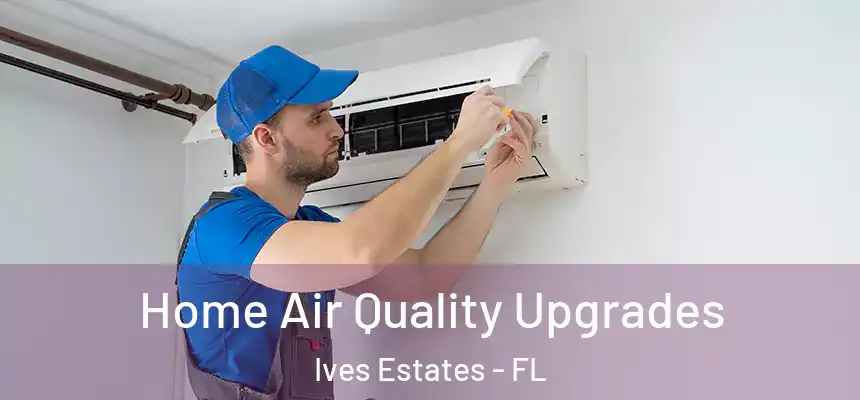 Home Air Quality Upgrades Ives Estates - FL