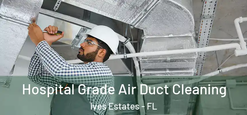 Hospital Grade Air Duct Cleaning Ives Estates - FL