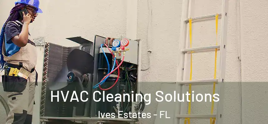HVAC Cleaning Solutions Ives Estates - FL