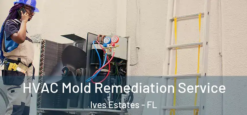HVAC Mold Remediation Service Ives Estates - FL
