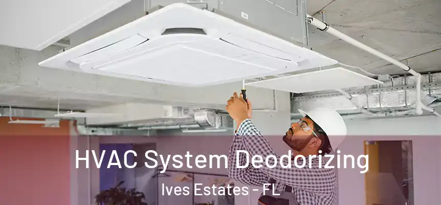 HVAC System Deodorizing Ives Estates - FL
