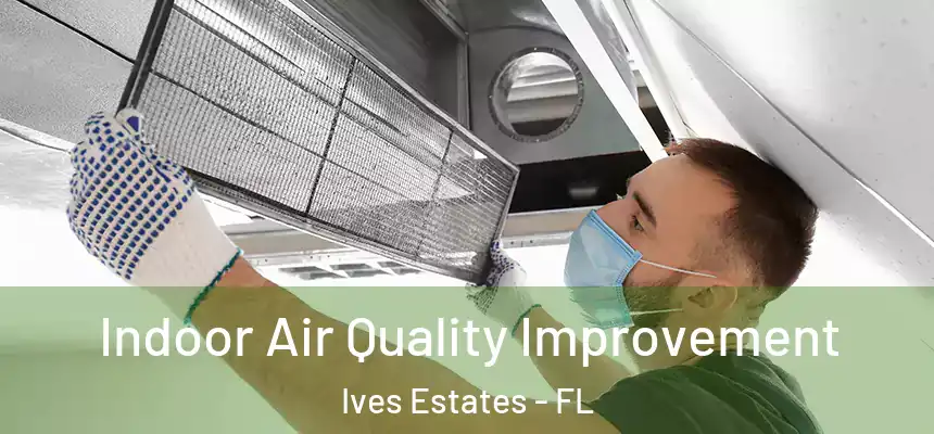 Indoor Air Quality Improvement Ives Estates - FL