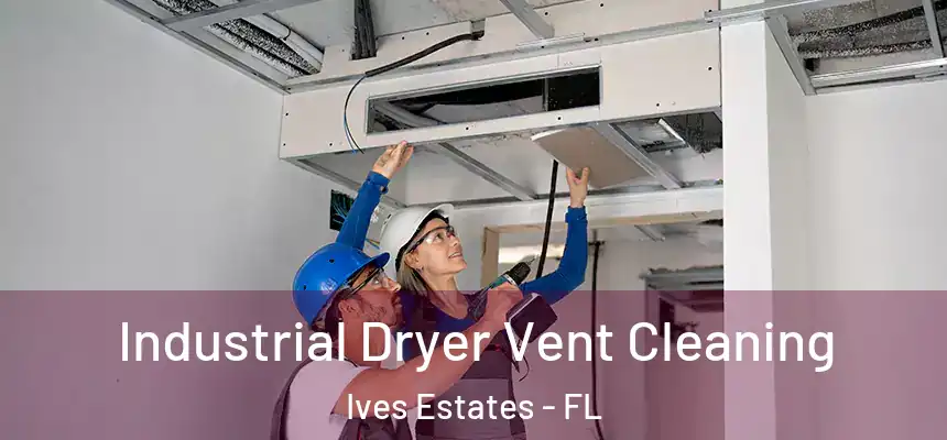 Industrial Dryer Vent Cleaning Ives Estates - FL